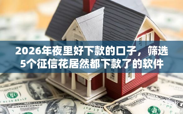 2026年夜里好下款的口子，筛选5个征信花居然都下款了的软件