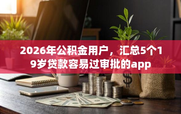 2026年公积金用户，汇总5个19岁贷款容易过审批的app