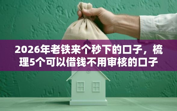2026年老铁来个秒下的口子，梳理5个可以借钱不用审核的口子