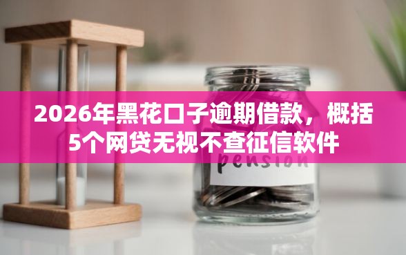 2026年黑花口子逾期借款，概括5个网贷无视不查征信软件