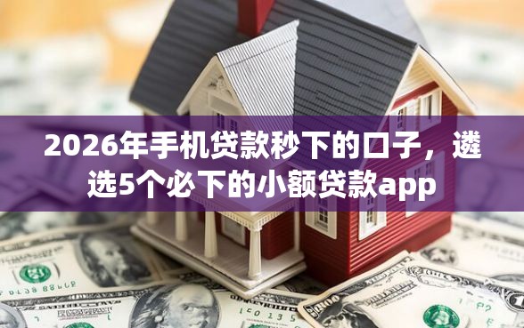2026年手机贷款秒下的口子，遴选5个必下的小额贷款app