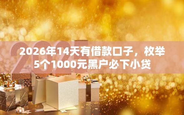 2026年14天有借款口子，枚举5个1000元黑户必下小贷