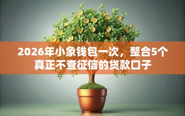 2026年小象钱包一次，整合5个真正不查征信的贷款口子