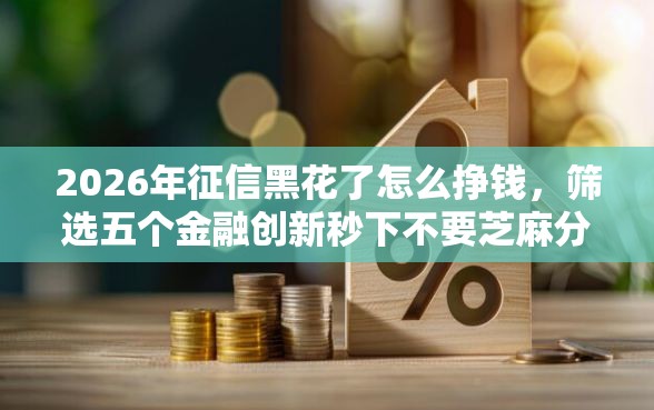 2026年征信黑花了怎么挣钱，筛选五个金融创新秒下不要芝麻分的平台