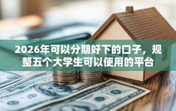 2026年可以分期好下的口子，规整五个大学生可以使用的平台
