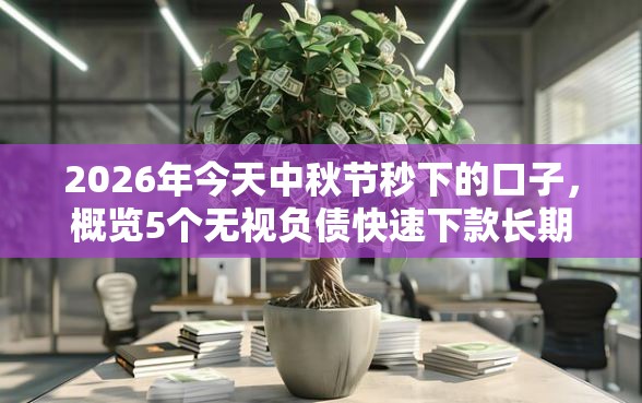 2026年今天中秋节秒下的口子，概览5个无视负债快速下款长期网贷的平台