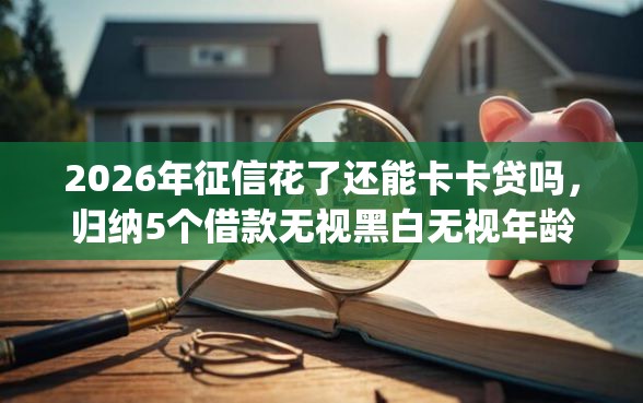 2026年征信花了还能卡卡贷吗，归纳5个借款无视黑白无视年龄100%秒过app