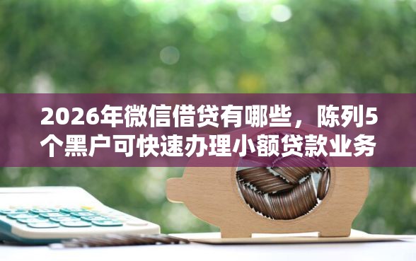 2026年微信借贷有哪些，陈列5个黑户可快速办理小额贷款业务的平台