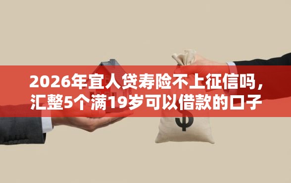 2026年宜人贷寿险不上征信吗，汇整5个满19岁可以借款的口子