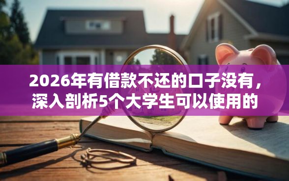 2026年有借款不还的口子没有，深入剖析5个大学生可以使用的口子