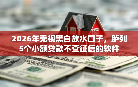 2026年无视黑白放水口子，胪列5个小额贷款不查征信的软件