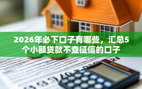 2026年必下口子有哪些，汇总5个小额贷款不查征信的口子