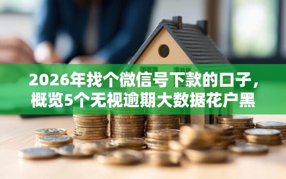 2026年找个微信号下款的口子，概览5个无视逾期大数据花户黑户软件