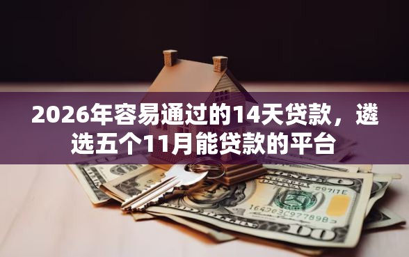 2026年容易通过的14天贷款，遴选五个11月能贷款的平台