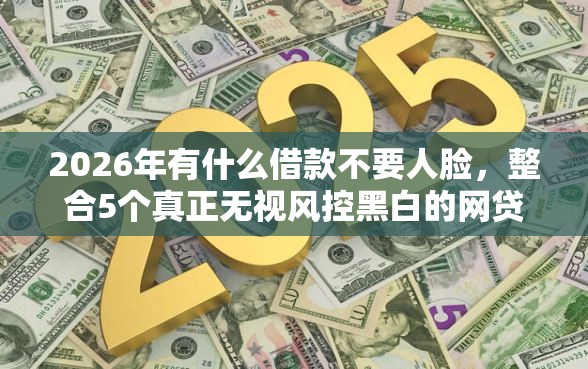 2026年有什么借款不要人脸，整合5个真正无视风控黑白的网贷
