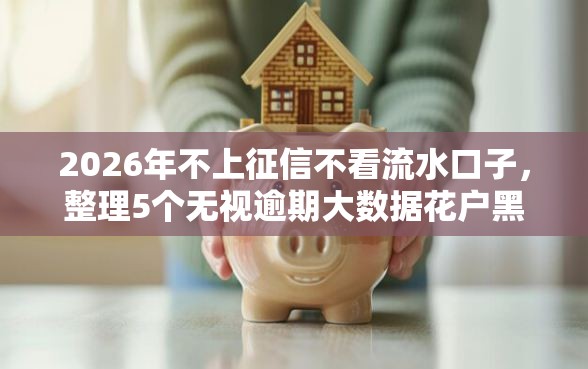 2026年不上征信不看流水口子，整理5个无视逾期大数据花户黑户口子