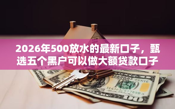 2026年500放水的最新口子，甄选五个黑户可以做大额贷款口子