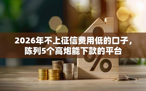 2026年不上征信费用低的口子，陈列5个高炮能下款的平台