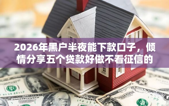 2026年黑户半夜能下款口子，倾情分享五个贷款好做不看征信的口子