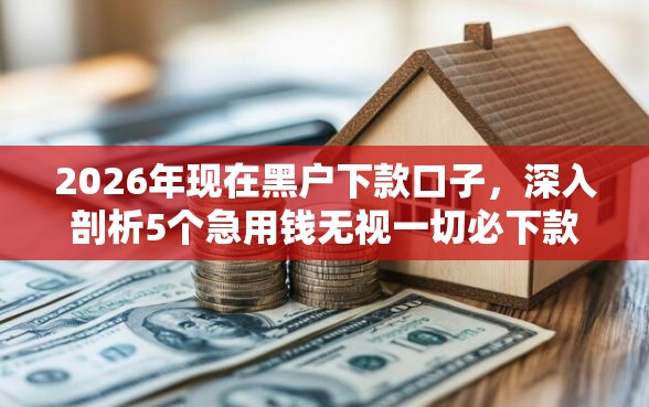 2026年现在黑户下款口子，深入剖析5个急用钱无视一切必下款的口子