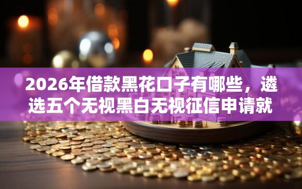 2026年借款黑花口子有哪些，遴选五个无视黑白无视征信申请就下款的平台
