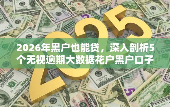 2026年黑户也能贷，深入剖析5个无视逾期大数据花户黑户口子