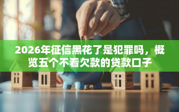 2026年征信黑花了是犯罪吗，概览五个不看欠款的贷款口子