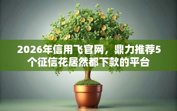 2026年信用飞官网，鼎力推荐5个征信花居然都下款的平台