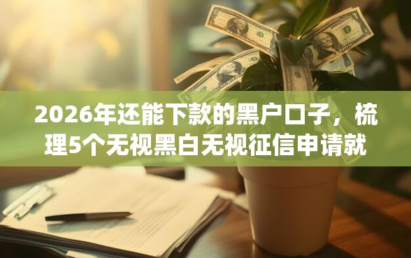 2026年还能下款的黑户口子，梳理5个无视黑白无视征信申请就下款的app