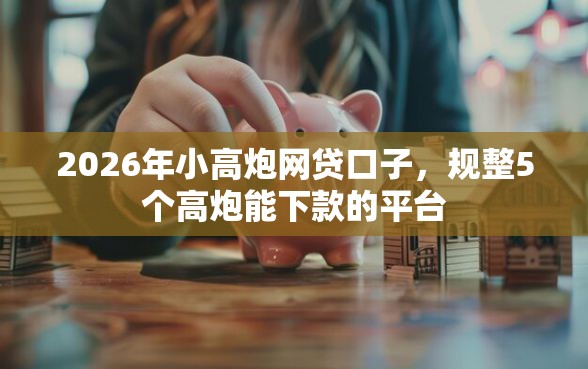 2026年小高炮网贷口子，规整5个高炮能下款的平台