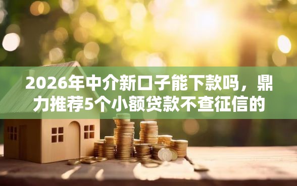 2026年中介新口子能下款吗,鼎力推荐5个小额贷款不查征信的平台 2026年中介新口子能下款吗,鼎力推荐5个小额贷款不查征信的平台