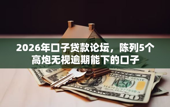 2026年口子贷款论坛，陈列5个高炮无视逾期能下的口子