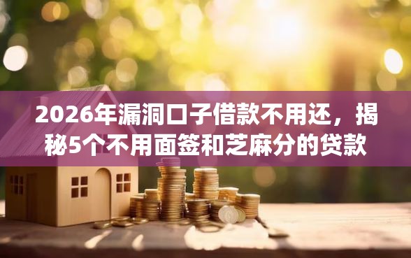 2026年漏洞口子借款不用还，揭秘5个不用面签和芝麻分的贷款app