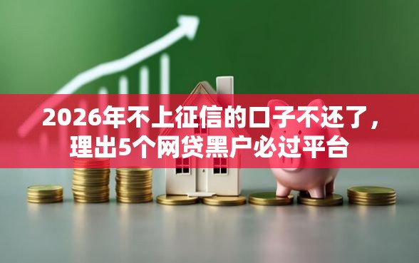 2026年不上征信的口子不还了，理出5个网贷黑户必过平台