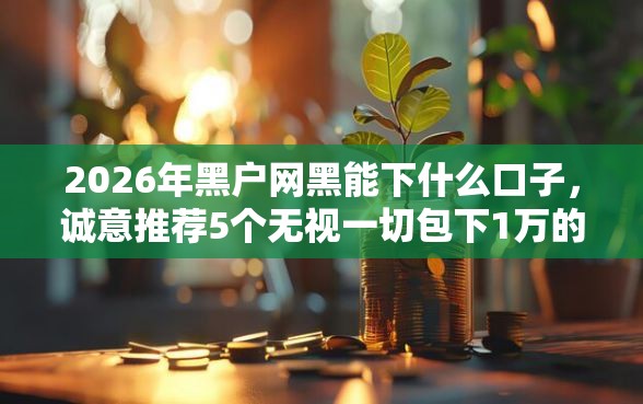 2026年黑户网黑能下什么口子，诚意推荐5个无视一切包下1万的贷款