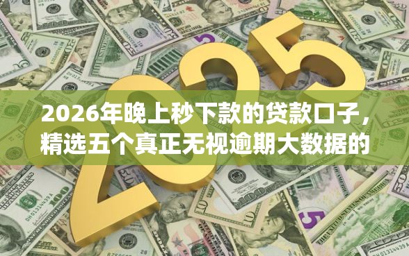 2026年晚上秒下款的贷款口子，精选五个真正无视逾期大数据的网贷app