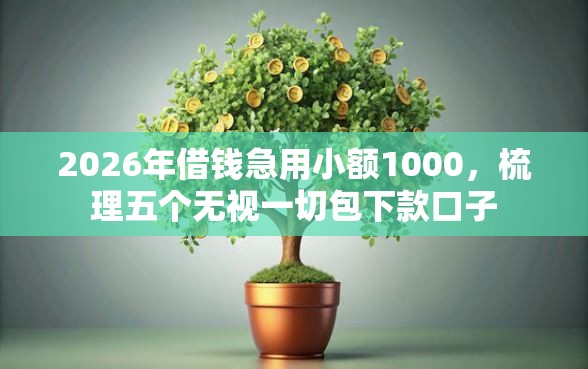2026年借钱急用小额1000，梳理五个无视一切包下款口子