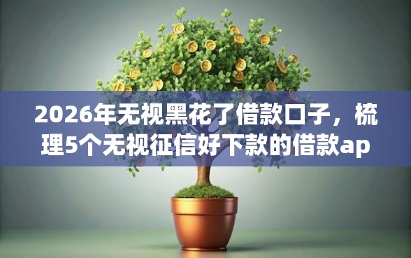 2026年无视黑花了借款口子，梳理5个无视征信好下款的借款app