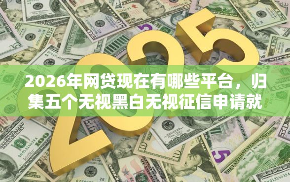 2026年网贷现在有哪些平台，归集五个无视黑白无视征信申请就下款的软件