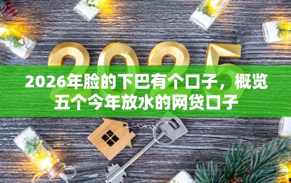 2026年脸的下巴有个口子，概览五个今年放水的网贷口子