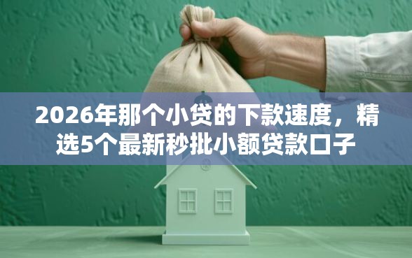 2026年那个小贷的下款速度，精选5个最新秒批小额贷款口子