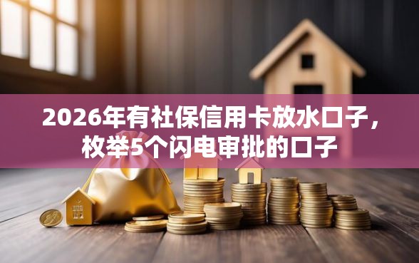 2026年有社保信用卡放水口子，枚举5个闪电审批的口子
