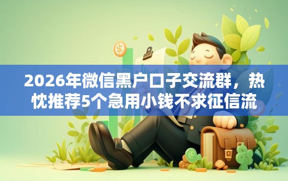 2026年微信黑户口子交流群，热忱推荐5个急用小钱不求征信流水轻松贷的平台