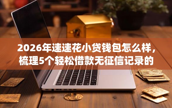 2026年速速花小贷钱包怎么样，梳理5个轻松借款无征信记录的app