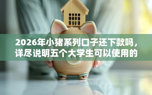 2026年小猪系列口子还下款吗，详尽说明五个大学生可以使用的平台