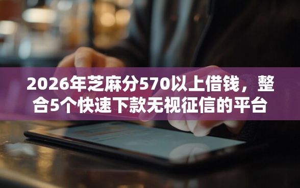 2026年芝麻分570以上借钱，整合5个快速下款无视征信的平台
