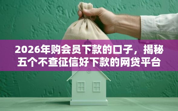 2026年购会员下款的口子，揭秘五个不查征信好下款的网贷平台
