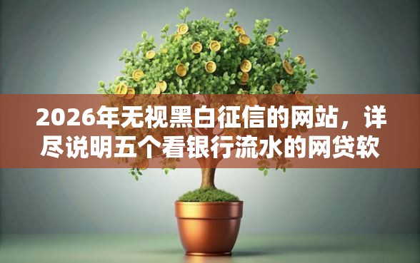 2026年无视黑白征信的网站，详尽说明五个看银行流水的网贷软件