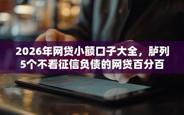 2026年网贷小额口子大全，胪列5个不看征信负债的网贷百分百下款软件