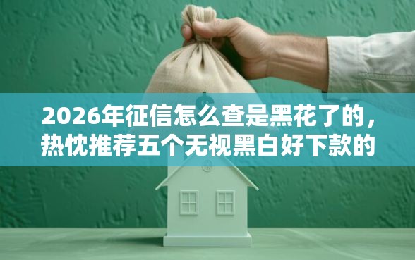 2026年征信怎么查是黑花了的，热忱推荐五个无视黑白好下款的软件